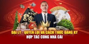 dai-ly-quyen-loi-va-cach-thuc-dang-ky-hop-tac-cung-nha-cai