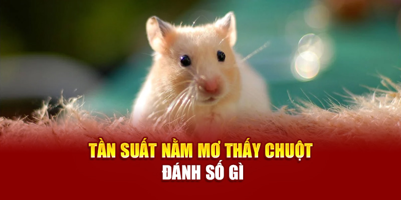 Tần suất nằm mơ thấy chuột đánh số gì